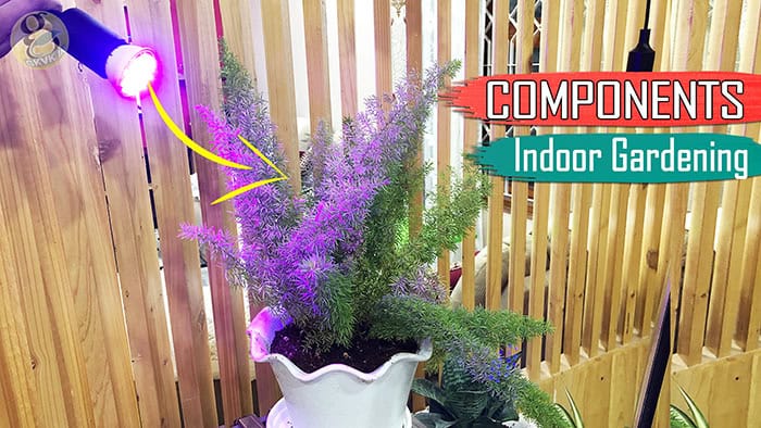 basic components of indoor gardening