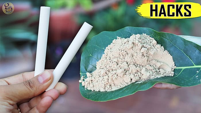 Organic Sources of Calcium For Plants