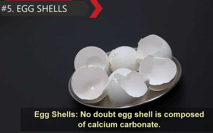 eggshells as natural source of calcium for plants
