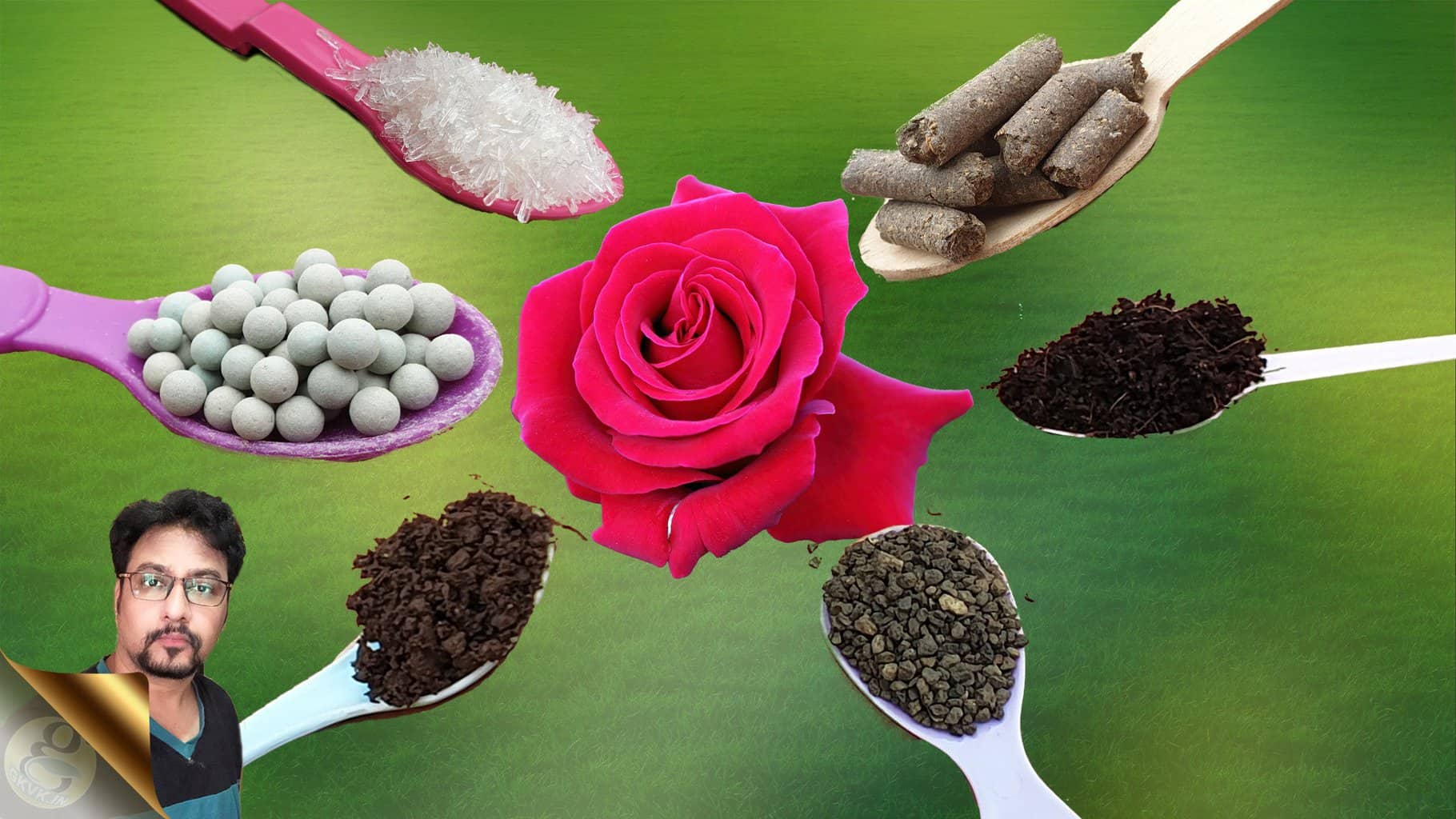 Best organic fertilizers for enhancing plant growth in gardens