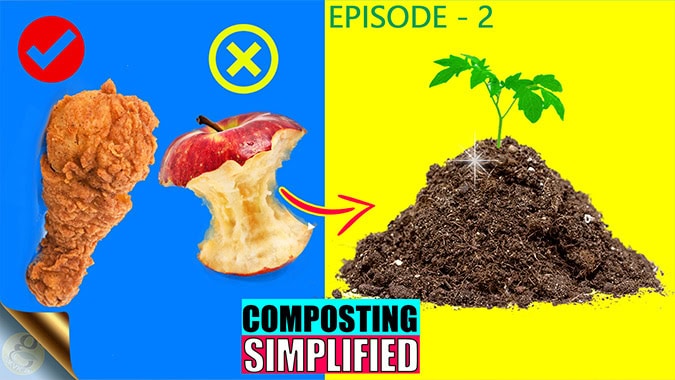 What Can You Compost