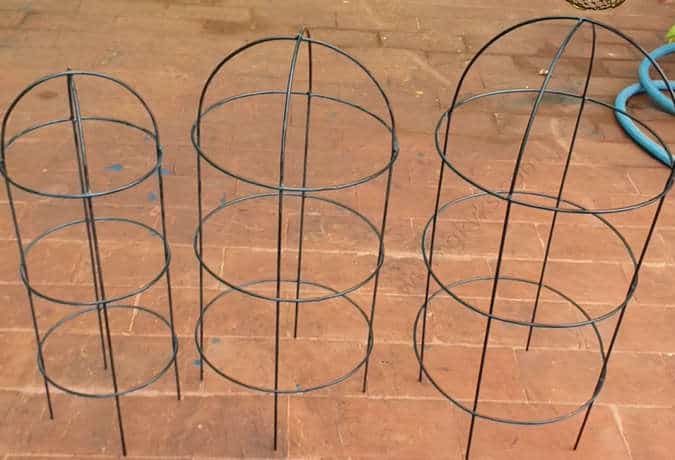 tomato cages are best
