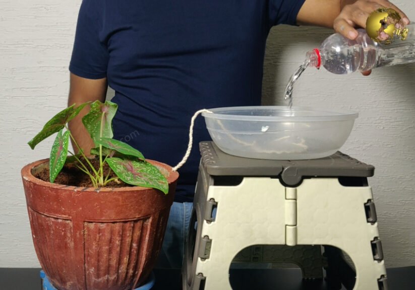 vacation watering systems with plastic bottles