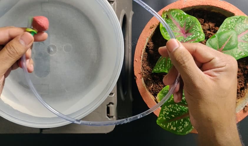 vacation watering systems