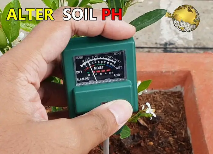alum as soil ph ammendment