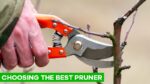 choosing the best pruning shears for garden