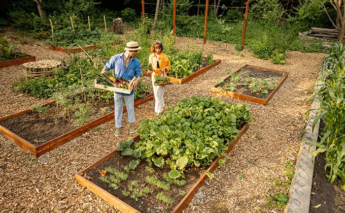 DIY Utility Panel Garden Arch Trellis