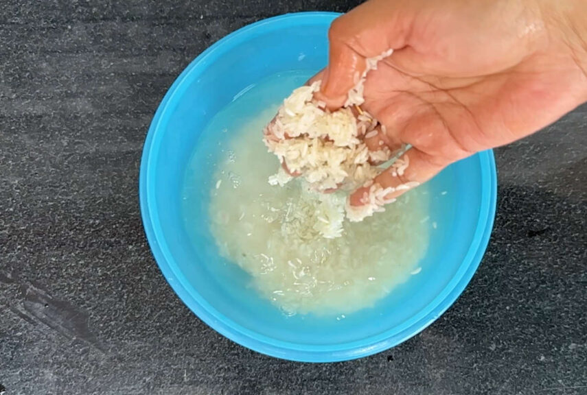 Rice water for plant growth