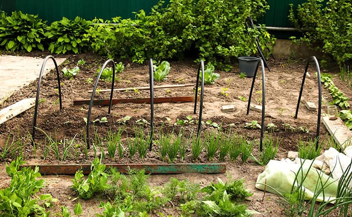 simple arch trellis in garden